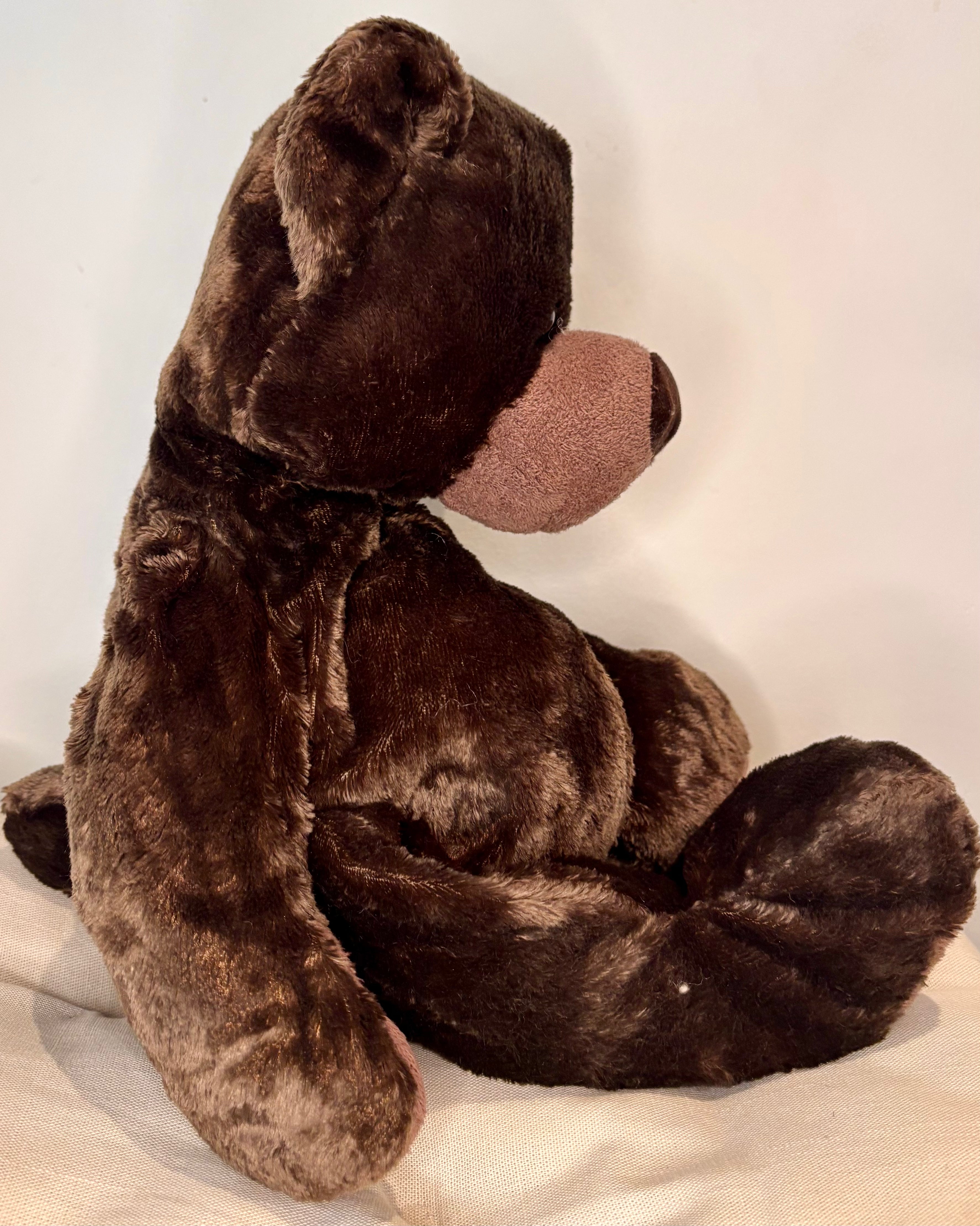 Teddy Bear