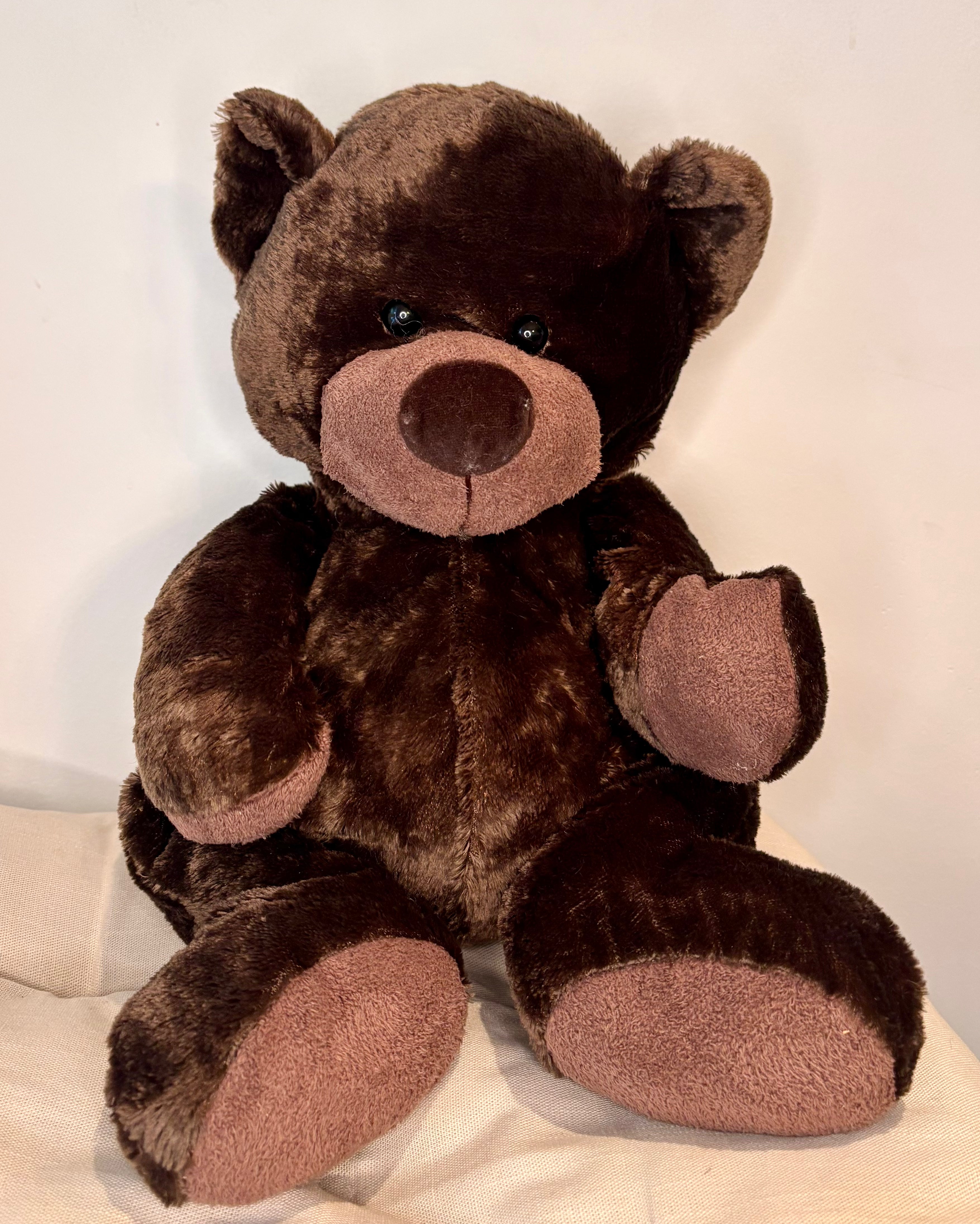 Teddy Bear