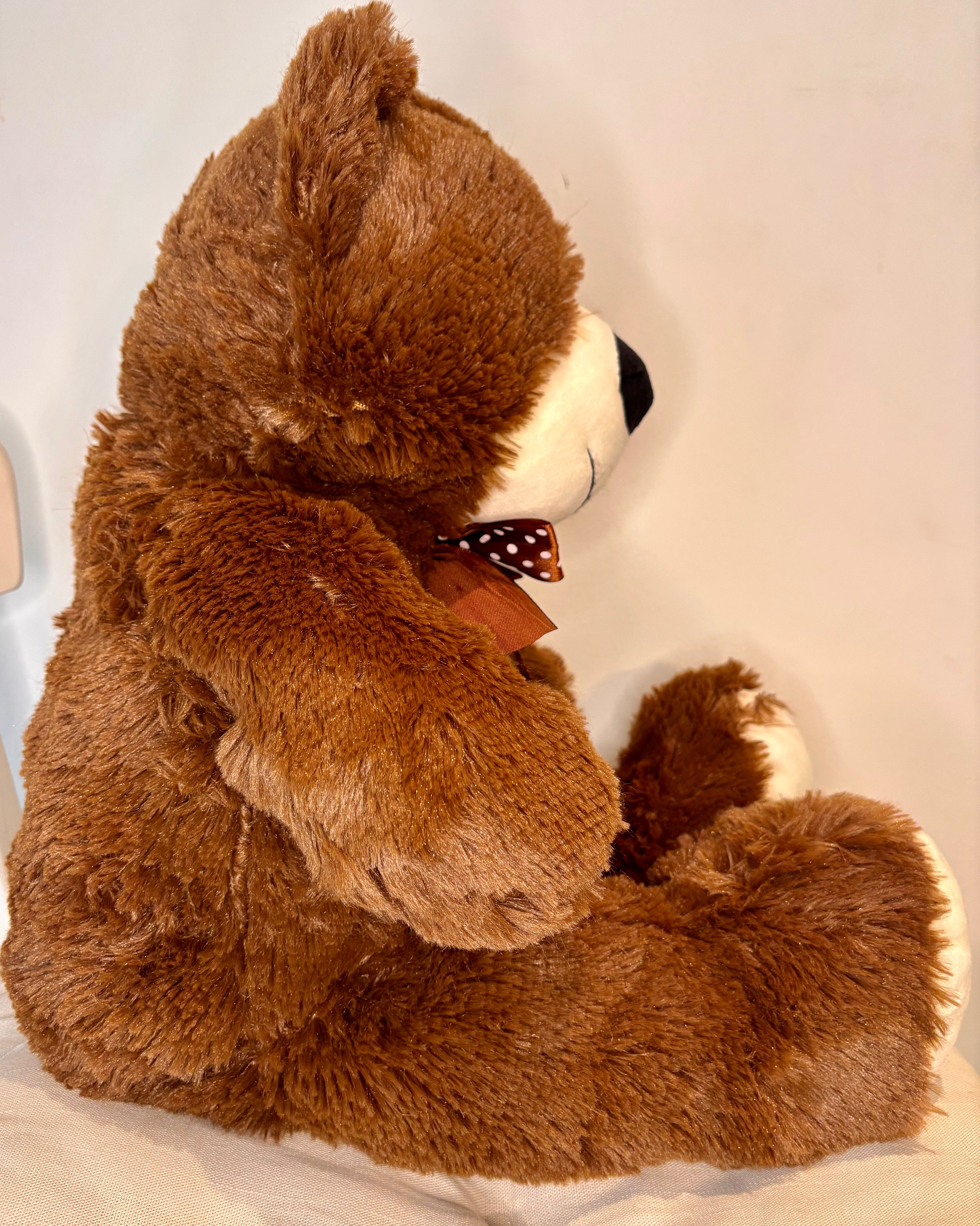 Brown Bear