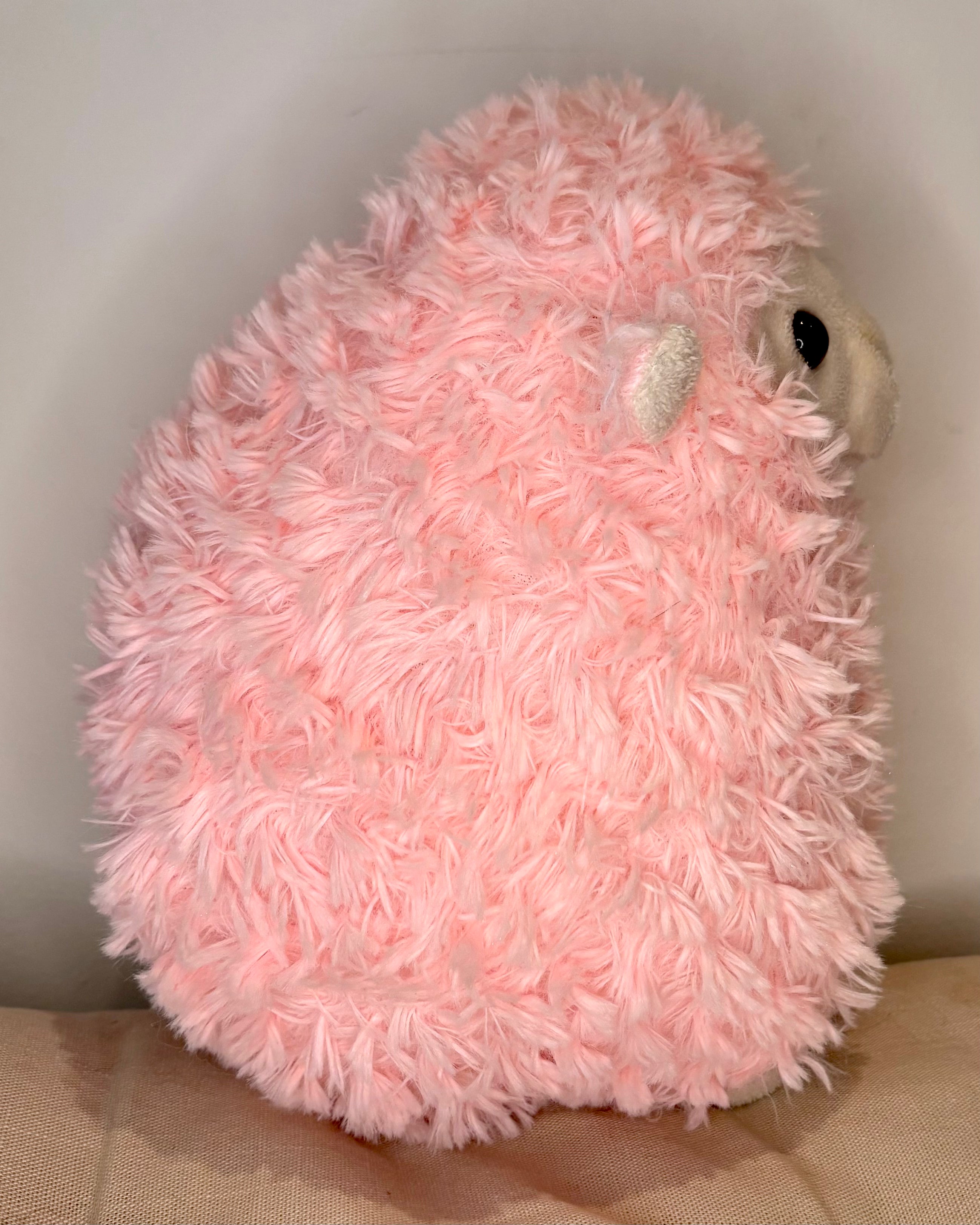 Pink Sheep
