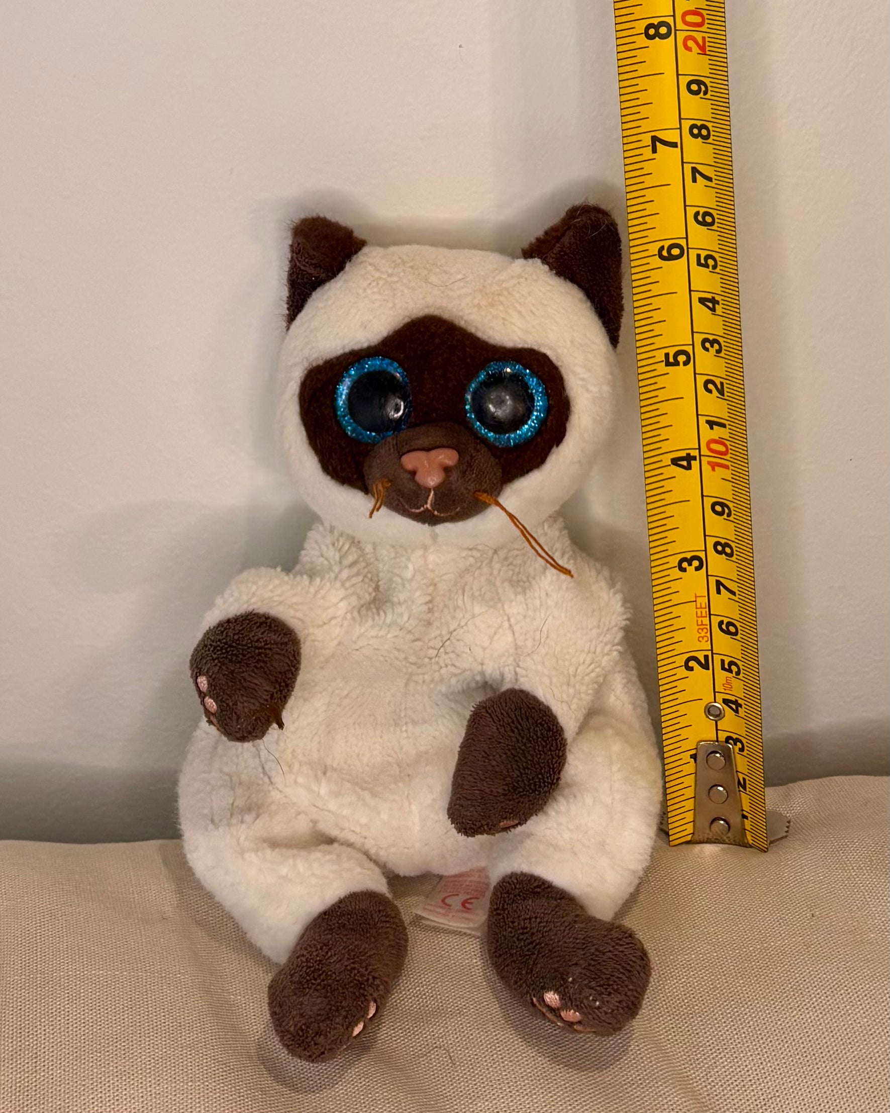 Small Cat