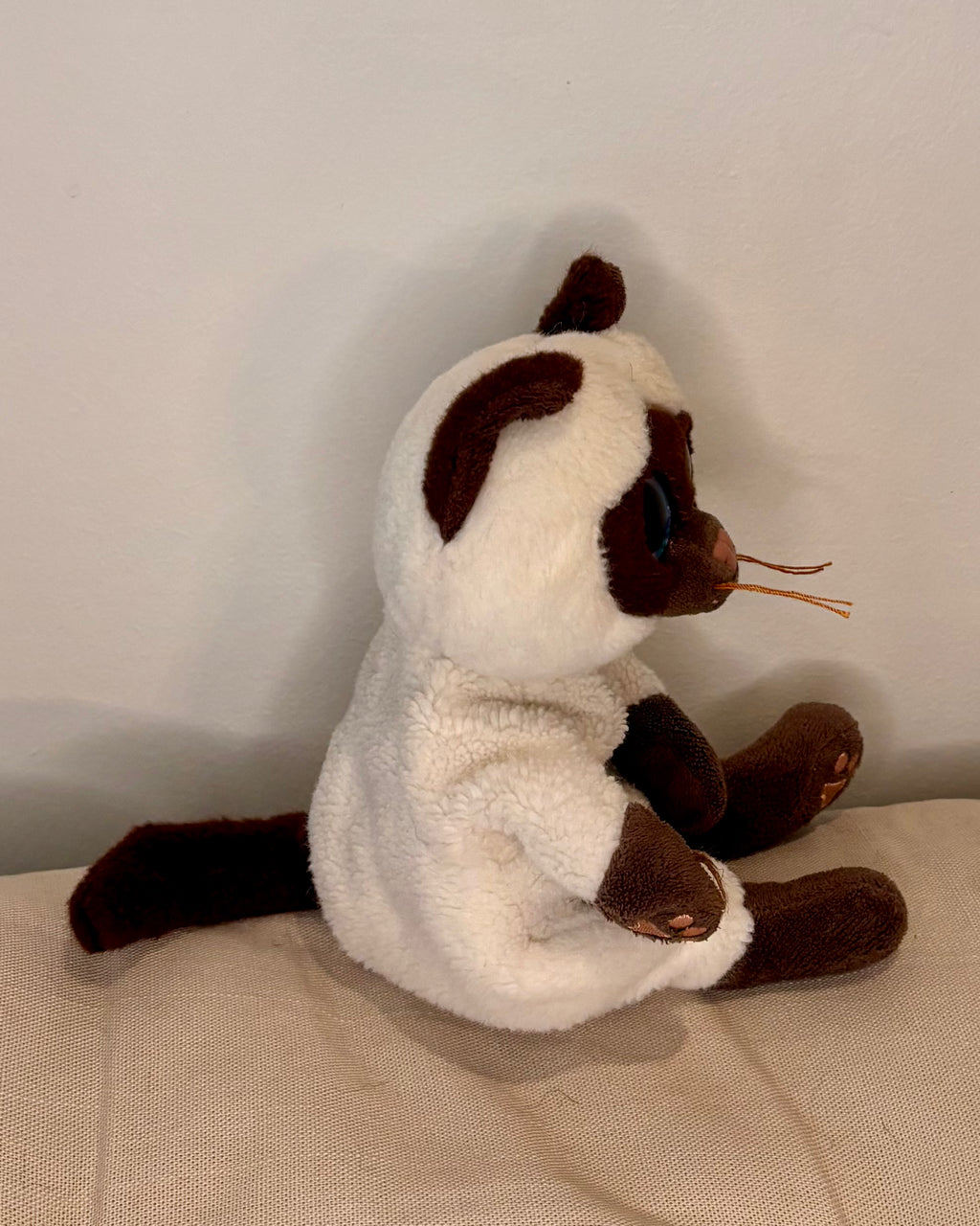 Small Cat