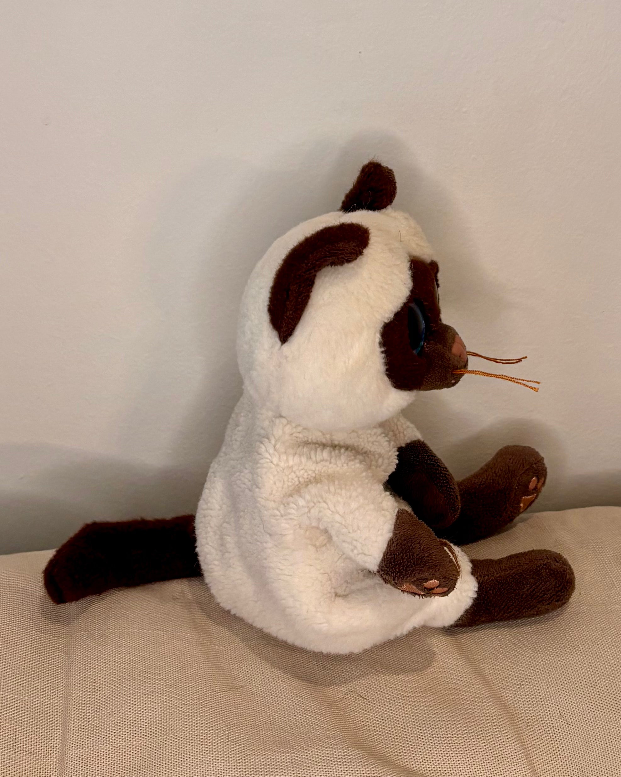 Small Cat