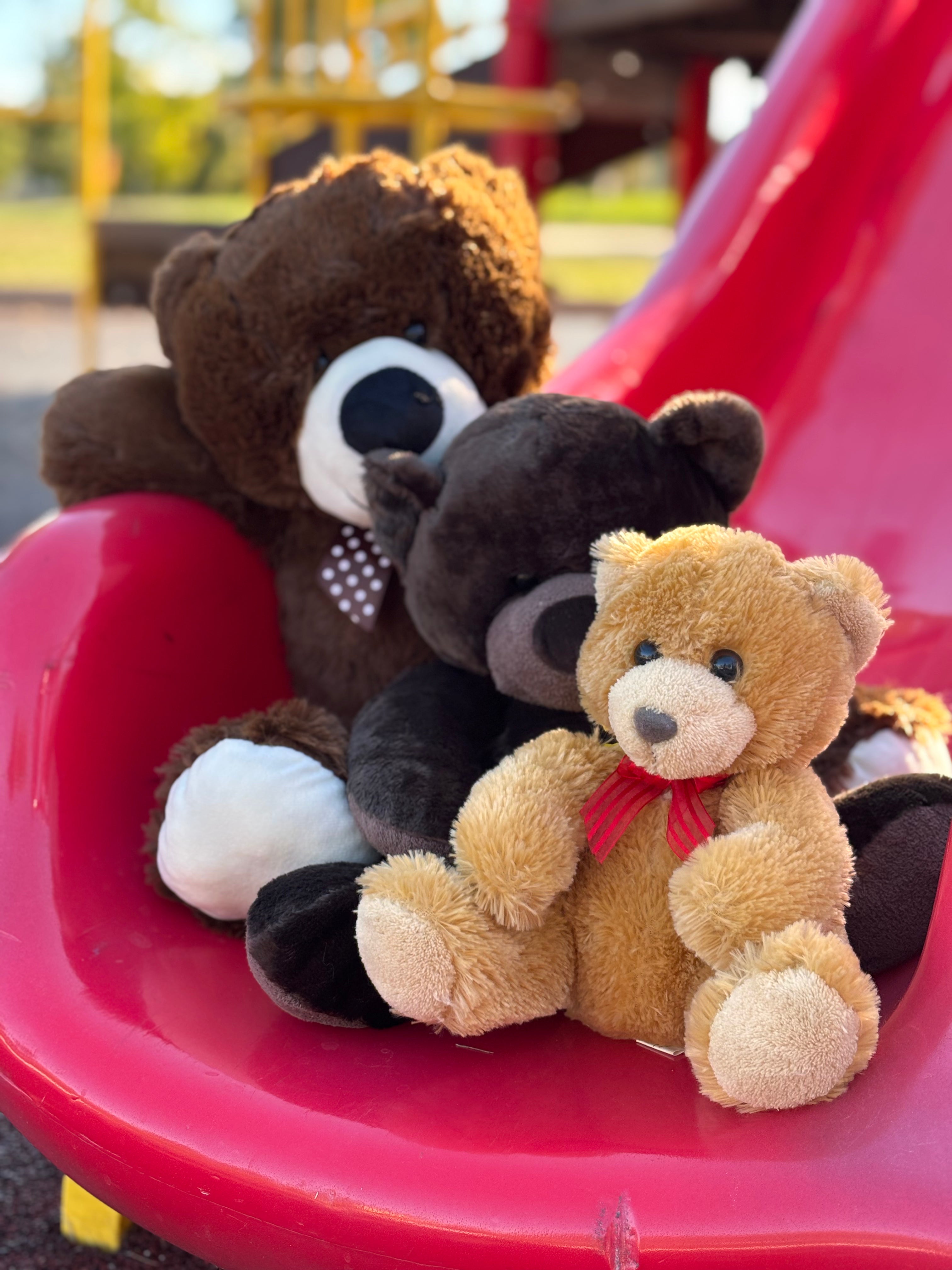 Teddy Bear