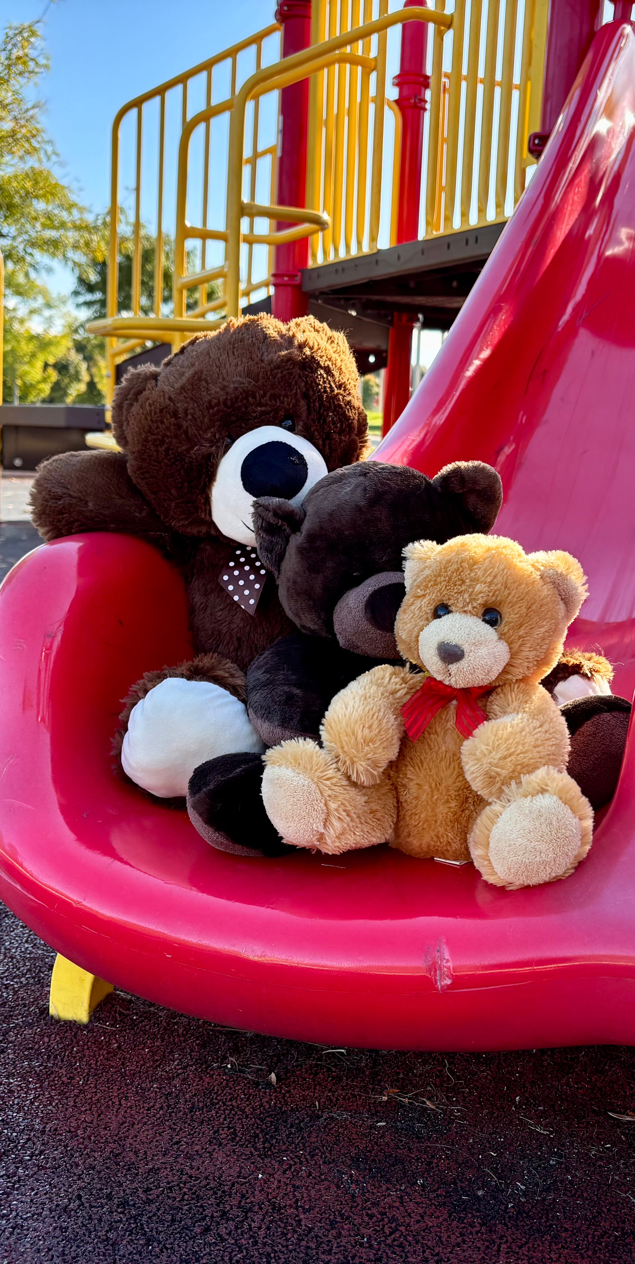 Brown Bear
