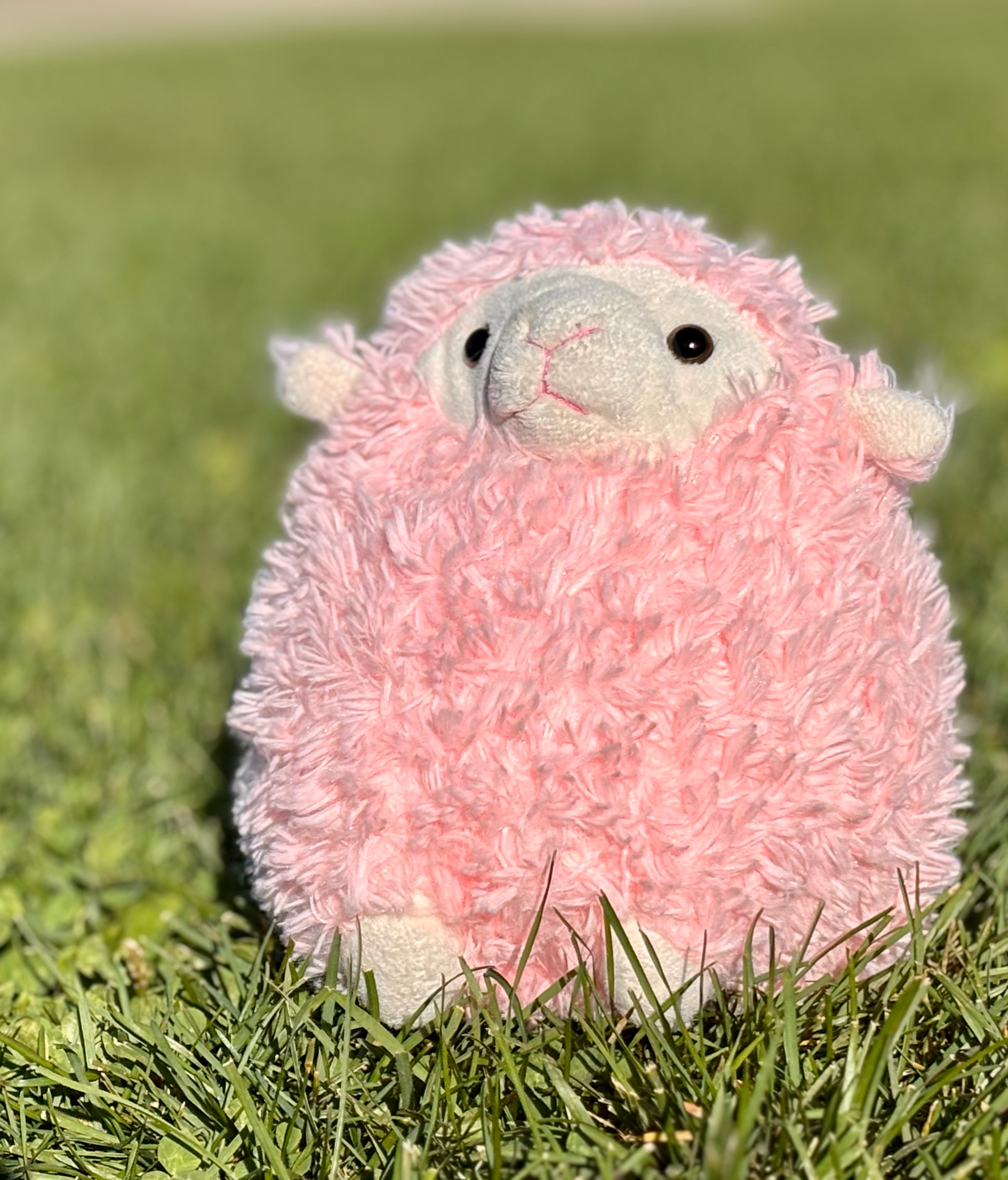 Pink Sheep